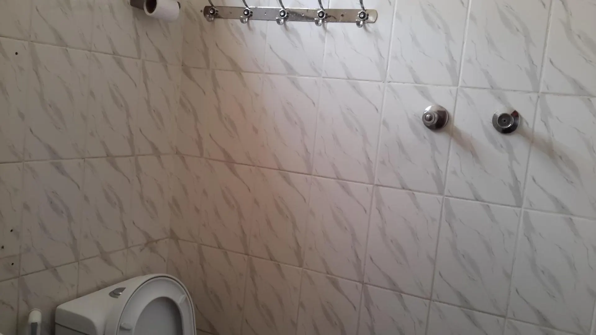 Dream View Guest House 아디스아바바