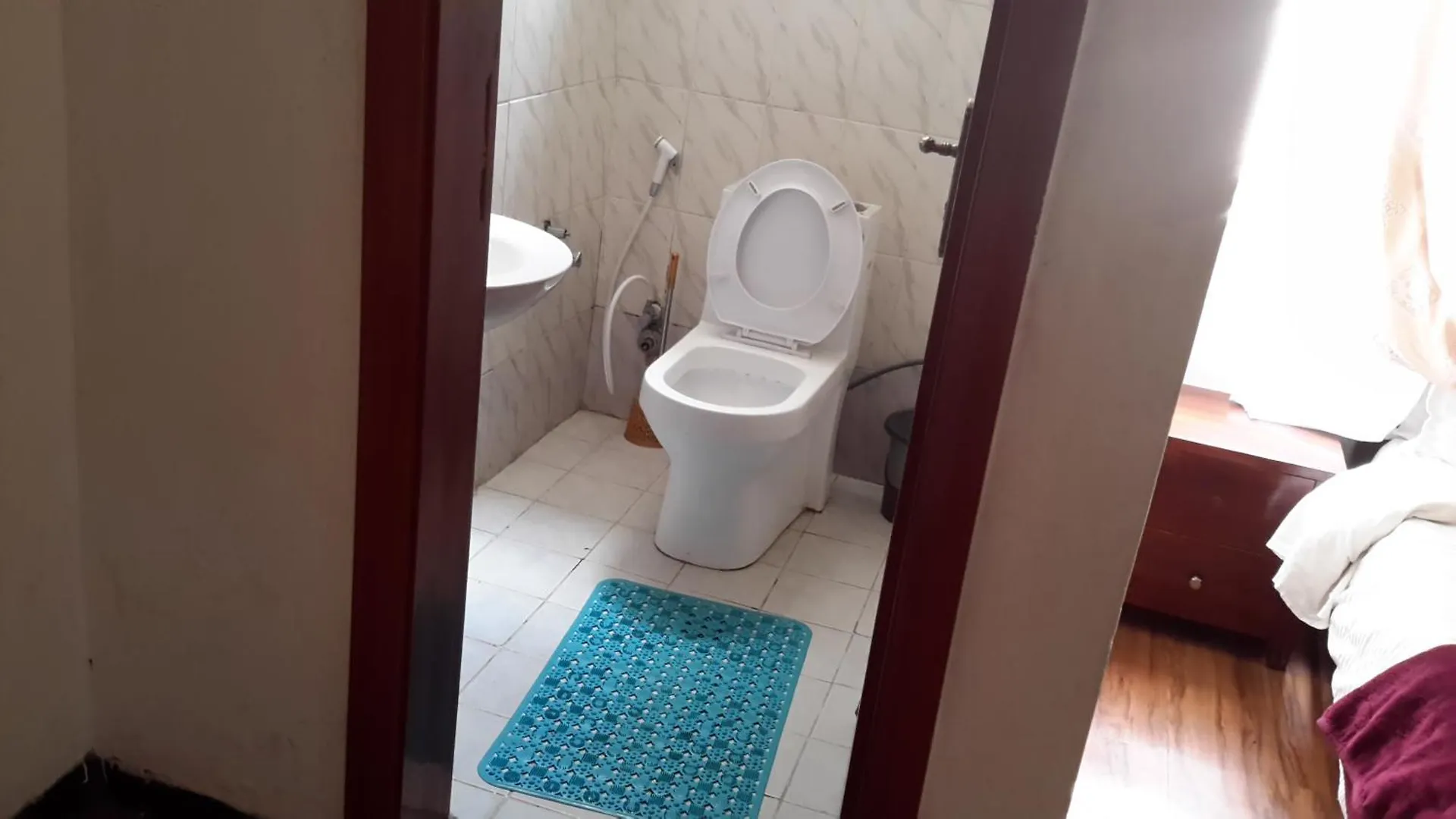 Dream View Guest House 아디스아바바